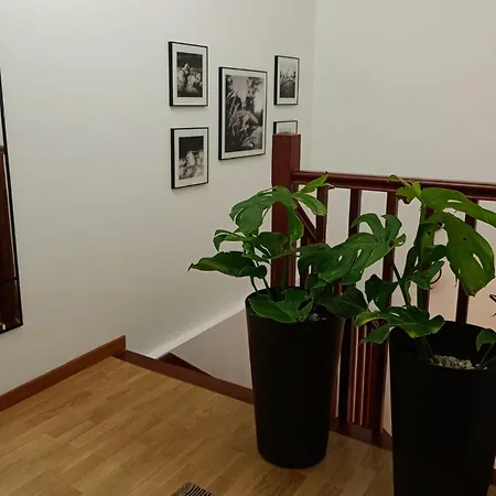 As Conchas * Vilagarcia de Arousa