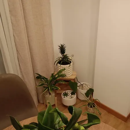 As Conchas Appartement