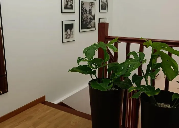 As Conchas * Вильягарсия-де-Ароса