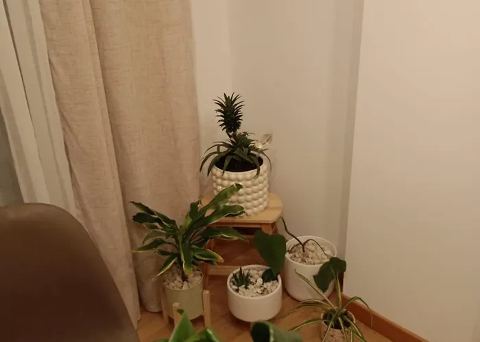 As Conchas Апартаменты